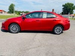 2019 Toyota Corolla LE CVT (Natl)