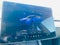 2022 Tesla Model 3 Performance AWD